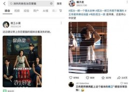 在线视频观看国产,在线视频观看背后的国产力量