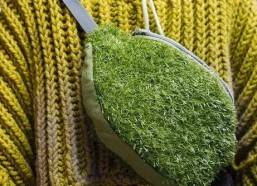 青青青草国产视频,国产视频中的青春记忆与成长轨迹