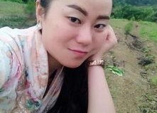 国产113页,深度解析我国科技发展的新篇章